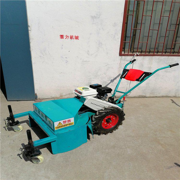 割草机多钱?不同品牌、不同型号价格对比-河南雷力机械制造有限公司