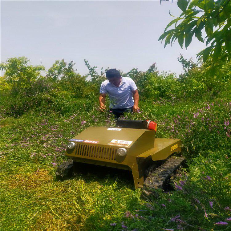 如何选择适合自己的割草机?——割草机厂家推荐-河南雷力机械制造有限公司