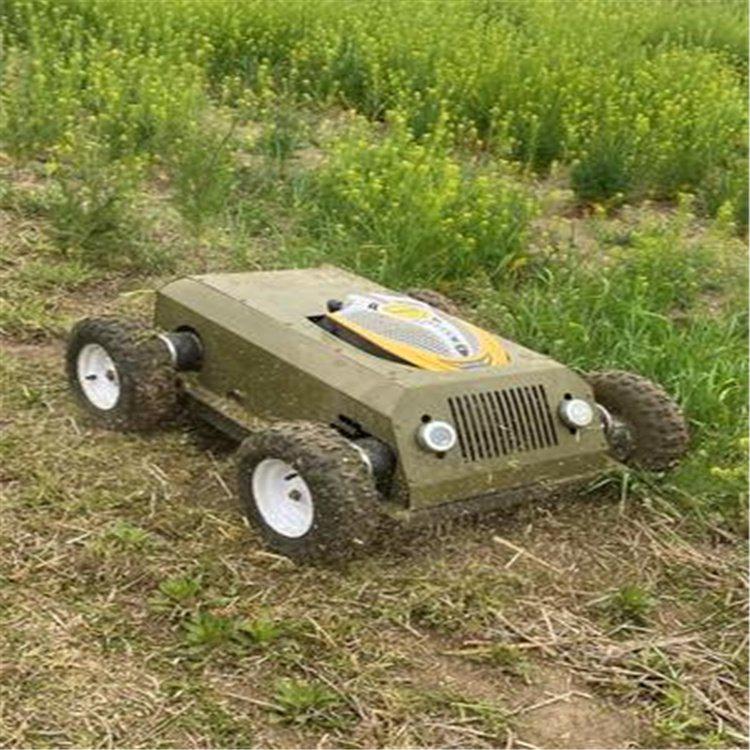 背负式割草机 vs 自走式割草机:哪个更适合你?-河南雷力机械制造有限公司