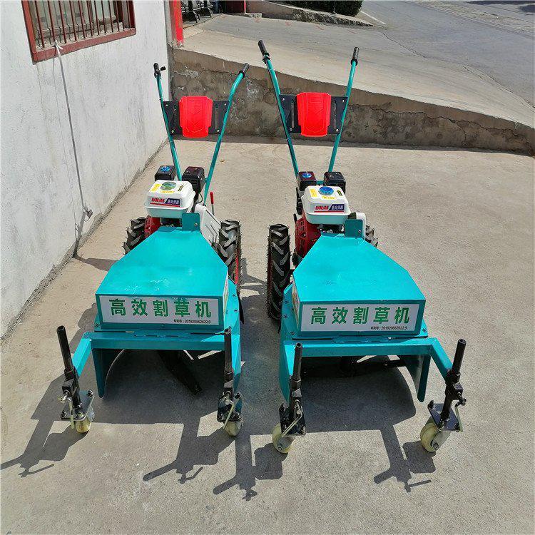 割草机维护攻略:保养割草机的小技巧-河南雷力机械制造有限公司
