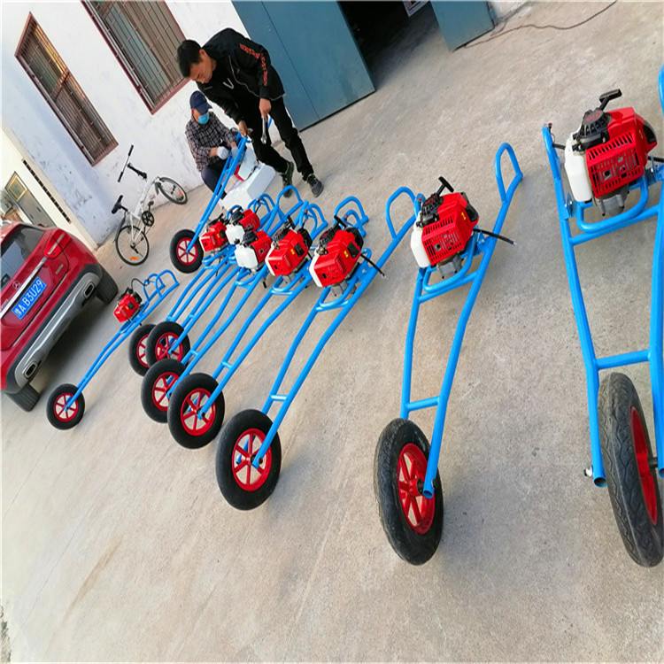 小型挖树坑机规范化种植-河南雷力机械制造有限公司