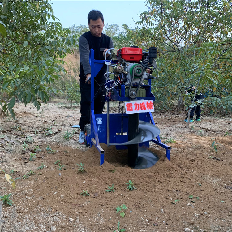 柴油挖树坑机1分钟钻2个洞-河南雷力机械制造有限公司