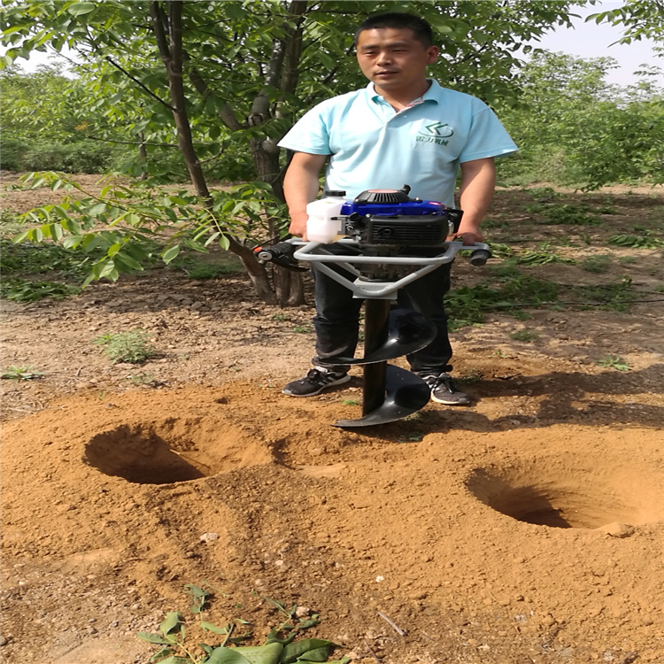 挖树坑机汽油版山地钻具-河南雷力机械制造有限公司